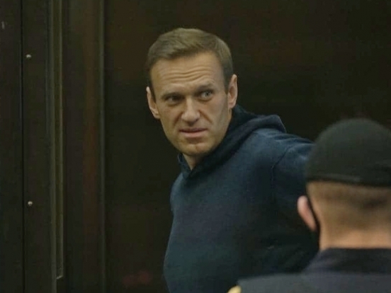 Германия, Великобритания, Франция и Швеция остались недовольны ответами России насчет отравления Навального