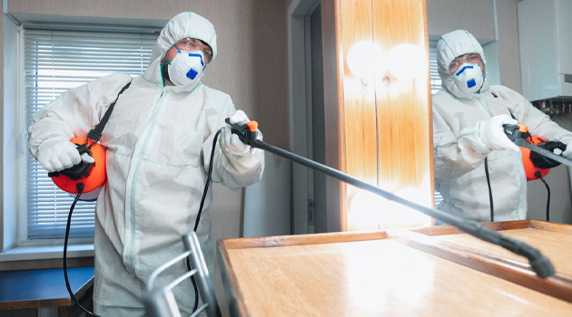 Гербицидная обработка от сорняков: плюсы, минусы и необходимость обращения к профи